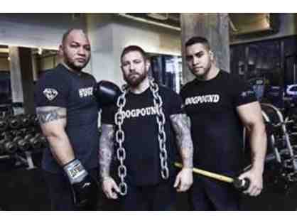 5 Personal Training sessions with Dogpound Trainer