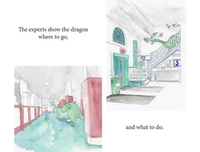 The Secret Habits of Dragons Book