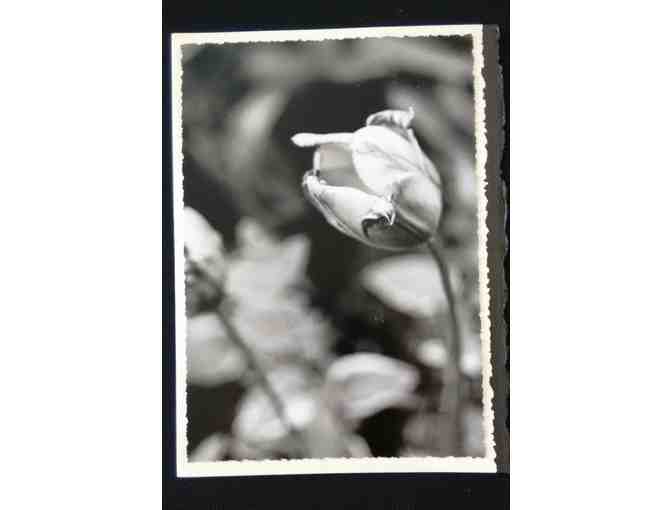 Hand-crafted 5x7 Note Cards with Mounted 5x7 Photos  - Set of 4