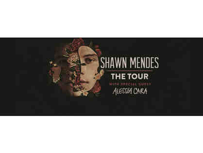 Shawn Mendes Concert - SUITE at Barclay's Center (Seats 16 People)