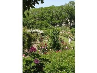 Brooklyn Botanic Garden - Frequent Visitor Pass #1