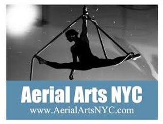 Aerial Arts - Adult Class or Kids Circus Class