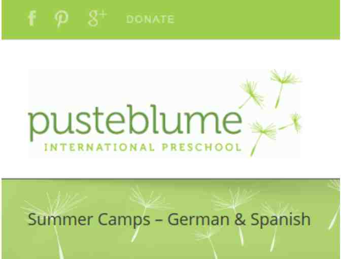 Pusteblume International Preschool - Spanish Immersion Summer Camp