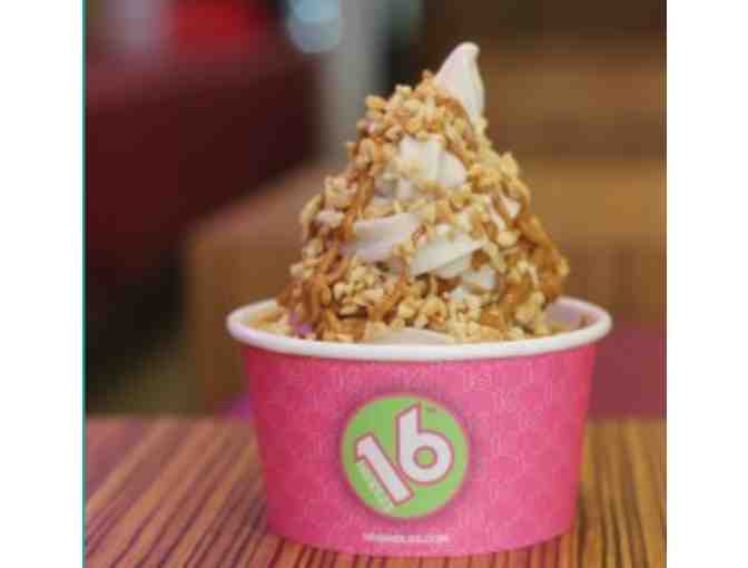 16 Handles - Fro Yo Party for Ten Guests