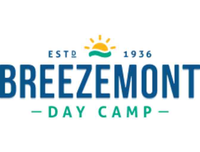 Breezemont Day Camp: Four Week Session
