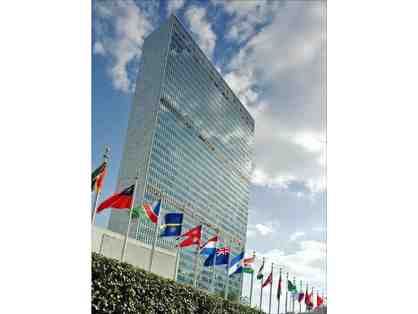 PRIVATE TOUR OF THE UN BUILDING FOR 5-6 PEOPLE
