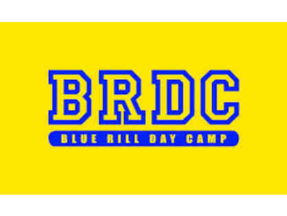 Blue Rill Day Camp