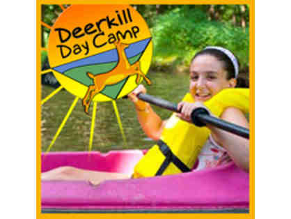 $500 Gift Certificate to Deerkill Day Camp