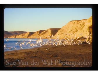 Discovering Drake: A Exploratory Hike & Dinner for Four at The Station House Cafe