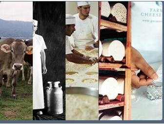 From Farm to Fork: A Culinary Cooking & Cheese Class for Ten