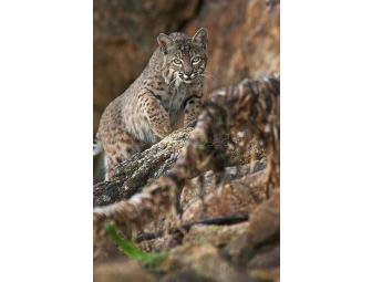 Picture the Park by Kayak with Photographer Galen Leeds & Point Reyes Outdoors for Six