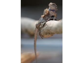 Picture the Park by Kayak with Photographer Galen Leeds & Point Reyes Outdoors for Six