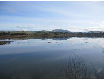 Poets Loft: Two Nights for Four on Tomales Bay