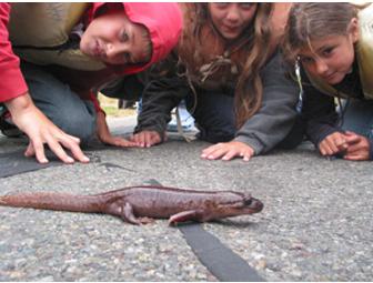 Rustic Retreat & Adventure at Camp Clem for 25