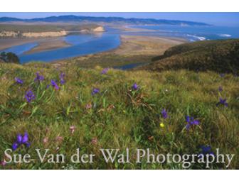 Seaside Slumber & Sojourn at the Historic LifeBoat Station for Sixteen