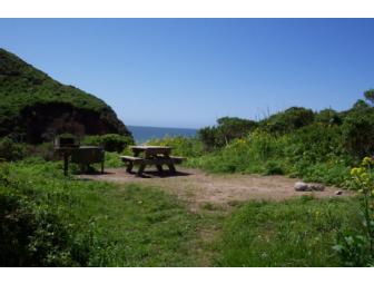 Wild for the Wilderness: Backpacking & Primitive Skills Adventure for Four