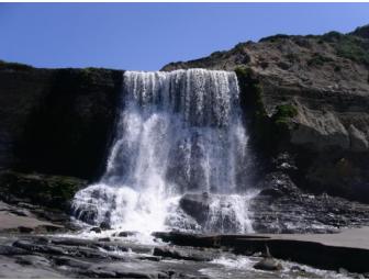 Wild for the Wilderness: Backpacking & Primitive Skills Adventure for Four