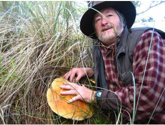 A Wild Gourmet Mushroom Foray w/David Campbell, Osteria Stellina & Olema Druids Hall