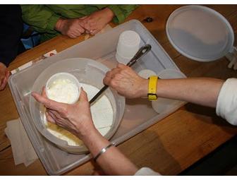 Point Reyes, it's the Cheese! A Tour of Pierce Point & Lunch for 4 at Cowgirl Creamery