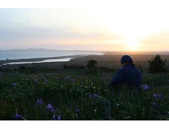Sketching Point Reyes with James Freed