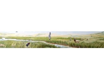 Sketching Point Reyes with James Freed