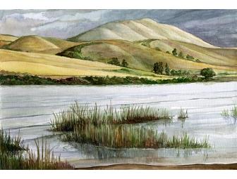 Sketching Point Reyes with James Freed