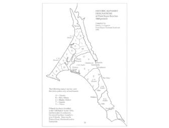 Point Reyes, it's the Cheese! A Tour of Pierce Point & Lunch for 4 at Cowgirl Creamery