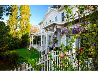 A Wild Gourmet Mushroom Foray w/David Campbell, Osteria Stellina & Olema Druids Hall