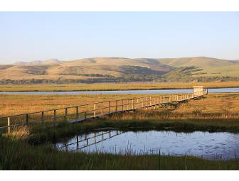Stay and Play on Tomales Bay with Motel Inverness & A Wetland Walk with David Wimpfheimer