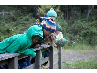 Rustic Retreat & Adventure at Camp Clem for 25