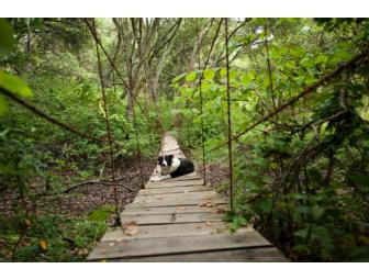 A Weekend in the Woods: A Retreat & Gourmet Dinner at the Mornell Estate