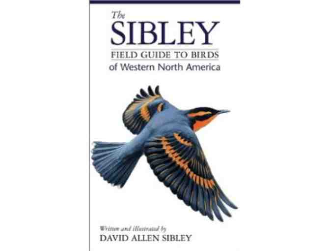 Hawk Walk: An Awesome Avian Adventure with David Wimpfheimer + Eagle Optics Binoculars