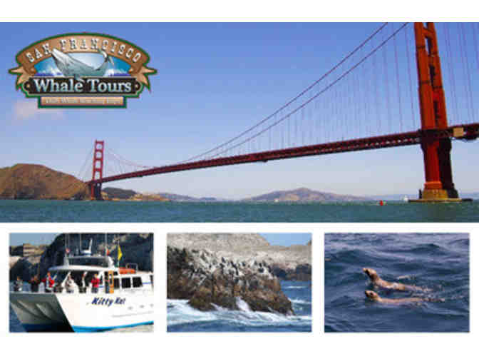 Whales, Seals and Sightseeing w/ SF Whale Tours & the Aquarium of the Bay for Two