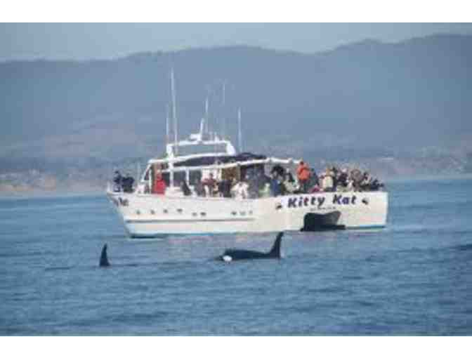 Whales, Seals and Sightseeing w/ SF Whale Tours & the Aquarium of the Bay for Two