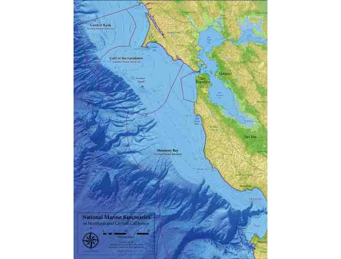 Whales, Seals and Sightseeing w/ SF Whale Tours & the Aquarium of the Bay for Two