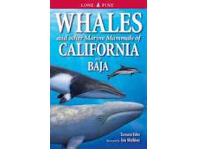 Whales, Seals and Sightseeing w/ SF Whale Tours & the Aquarium of the Bay for Two