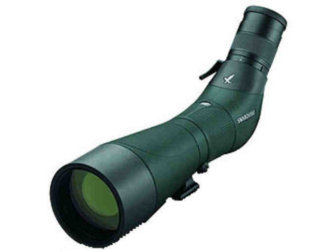 Bolinas Birding & Studio Visit w/ Keith Hansen + Swarovski Optik Scope