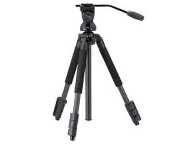 Bolinas Birding & Studio Visit w/ Keith Hansen + Swarovski Optik Scope