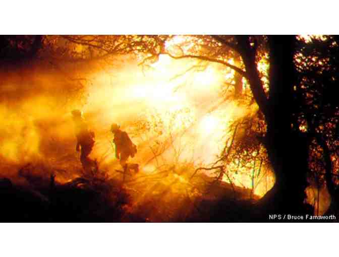 Fire in the Landscape: A Walking Tour of the Vision Fire with Jennifer Chapman for 10