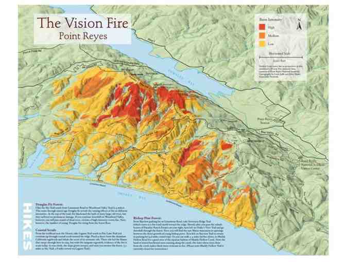 Fire in the Landscape: A Walking Tour of the Vision Fire with Jennifer Chapman for 10