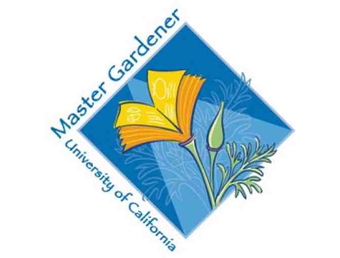 Grow Native: Design, Seed and Plant Your New Oasis (Bay Area Residents Only)