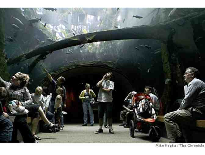 Breakfast at the California Academy of Science's Steinhart Aquarium for Two on Sept 29
