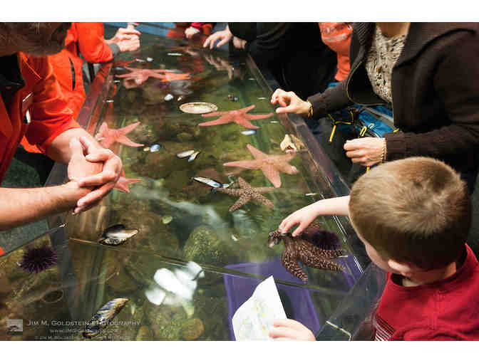 Breakfast at the California Academy of Science's Steinhart Aquarium for Two on Sept 29