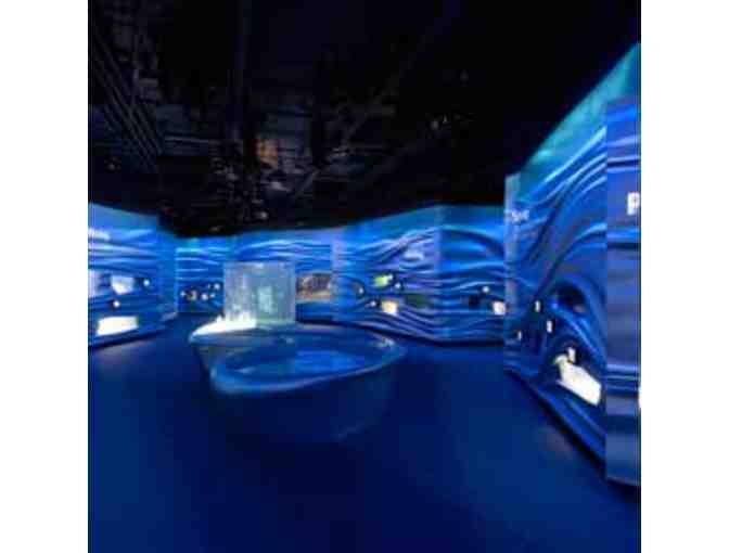 Breakfast at the California Academy of Science's Steinhart Aquarium for Two on Sept 29