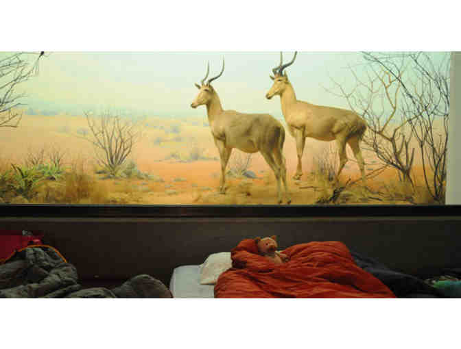 Penguins and Pajamas Sleepover at the California Academy of Sciences for Two