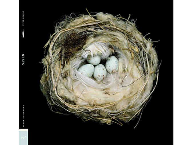 Nesting with Sharon Beals: A Collection of Three Prints & Book for Art and Bird Lovers