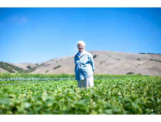 A Point Reyes Photo Session with Michael B. Woolsey
