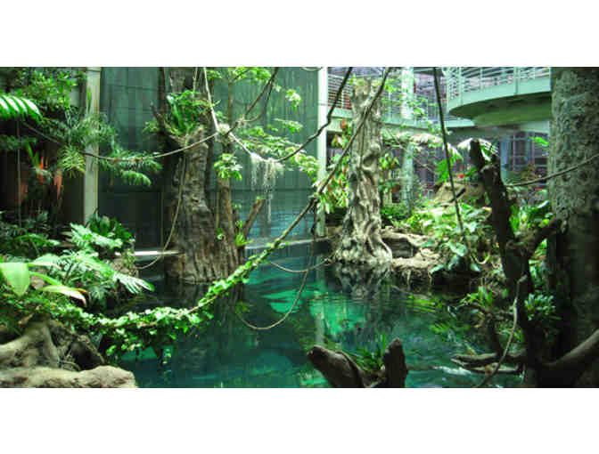 Two Nights on Fisherman's Wharf + Tickets to the Cal Academy & Alcatraz for Four