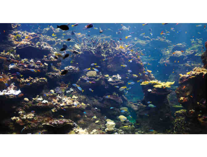 Two Nights on Fisherman's Wharf + Tickets to the Cal Academy & Alcatraz for Four