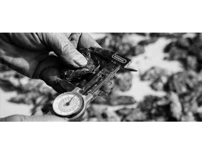 Bubbly & Bivalves: A Boat Tour and Tastings on Tomales Bay with Luc Chamberland for Six